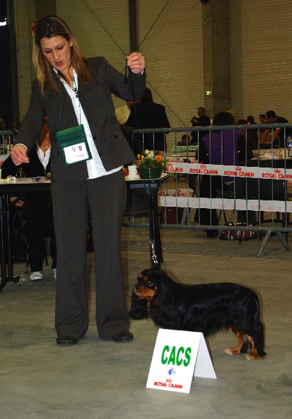 CH. Charly parker De la fieffe au songeur