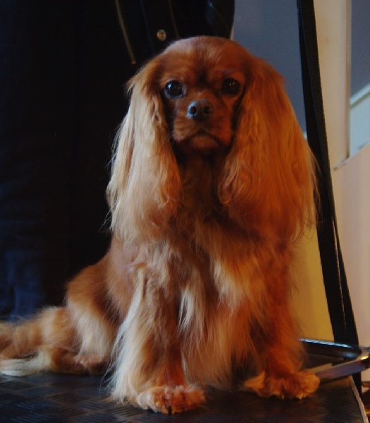 Alma Du chemin de vincy