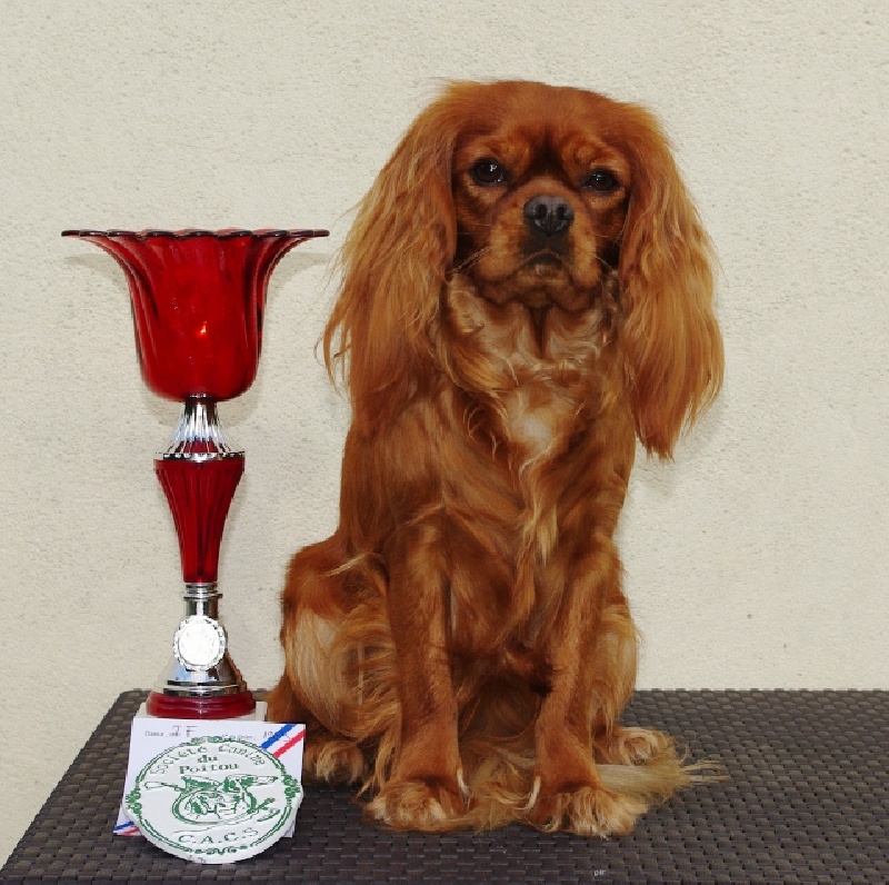 Fhélynie fire doll des petits Anges de Sophie