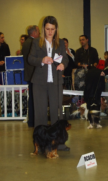 CH. Charly parker De la fieffe au songeur