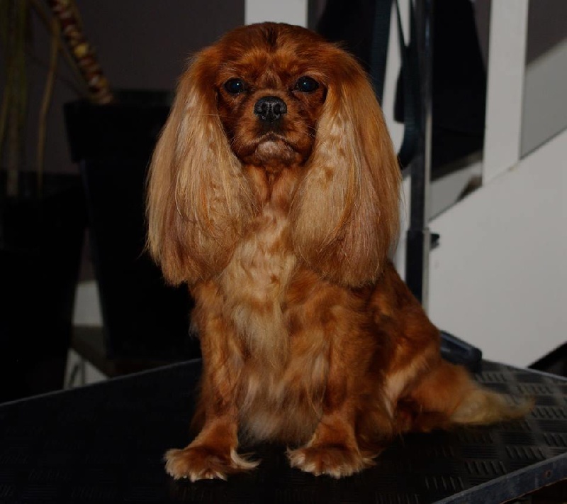 Alma Du chemin de vincy