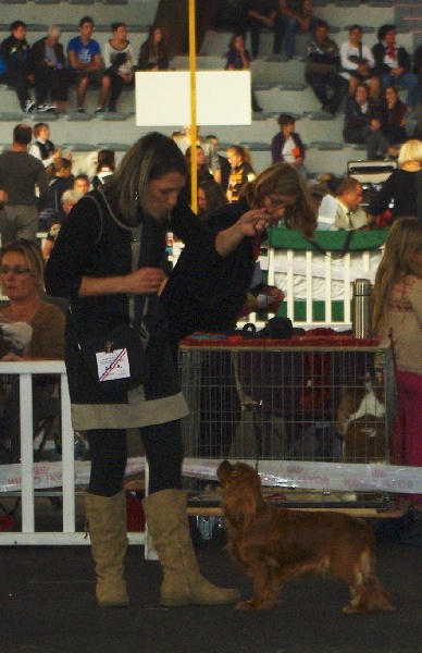 Fhélynie fire doll des petits Anges de Sophie