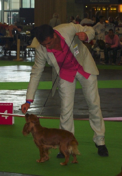 Fhélynie fire doll des petits Anges de Sophie - Excellent classe jeune