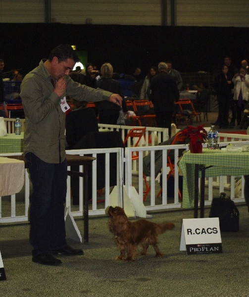 Eycha melissa des petits Anges de Sophie - 2ème Exc RCACS ouverte