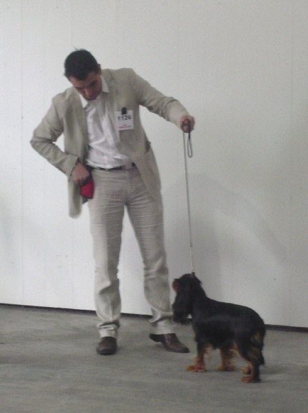 Engel flower De park ar marc'heger - classée 4ème Excellent en intermédiaire