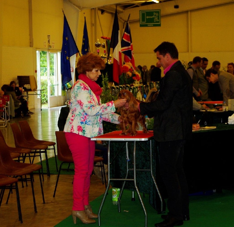 Fhélynie fire doll des petits Anges de Sophie - EXC classe ouverte