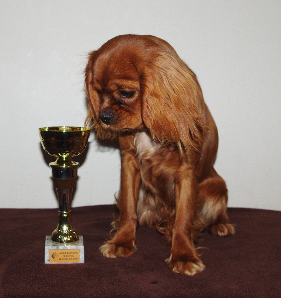 Fhélynie fire doll des petits Anges de Sophie - TRES PROMETTEUR