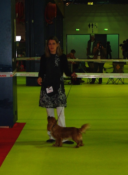 Eycha melissa des petits Anges de Sophie - 4ème Exc en intermédiaire