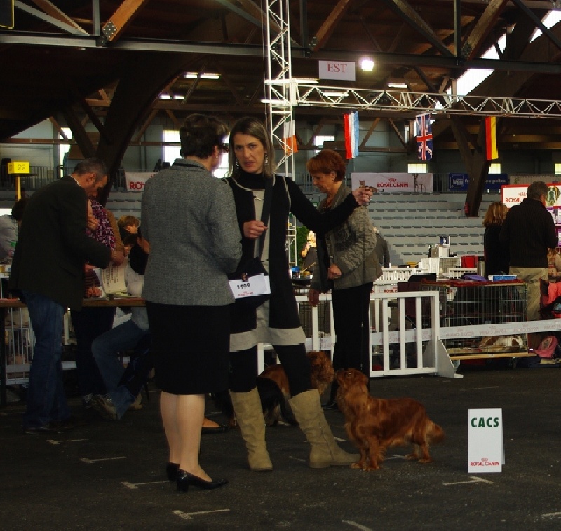 Fhélynie fire doll des petits Anges de Sophie - 1 Exc Inter + CACS