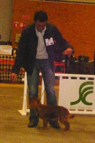 Fhélynie fire doll des petits Anges de Sophie - 2 ème Prometteur