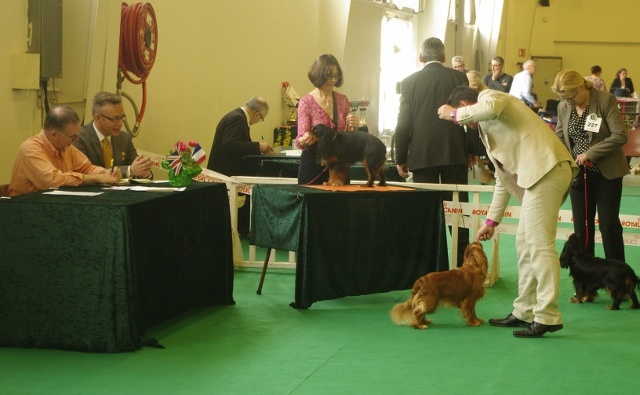 Fhélynie fire doll des petits Anges de Sophie - EXC classe intermédiaire