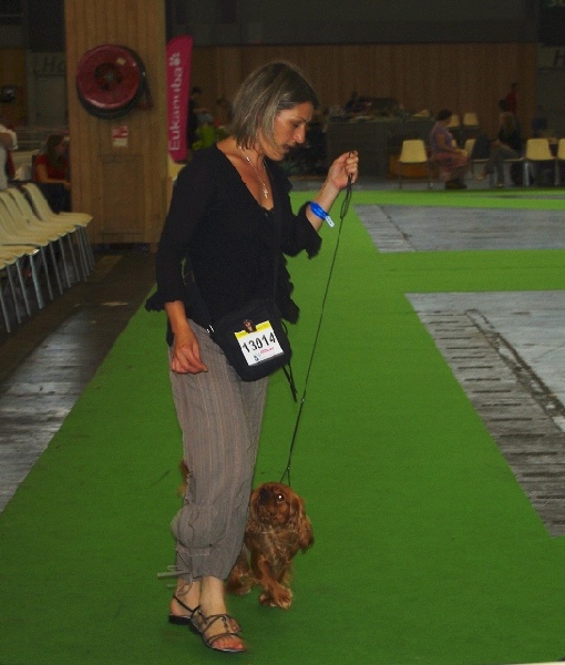 Eycha melissa des petits Anges de Sophie - Excellent classe intermédiaire