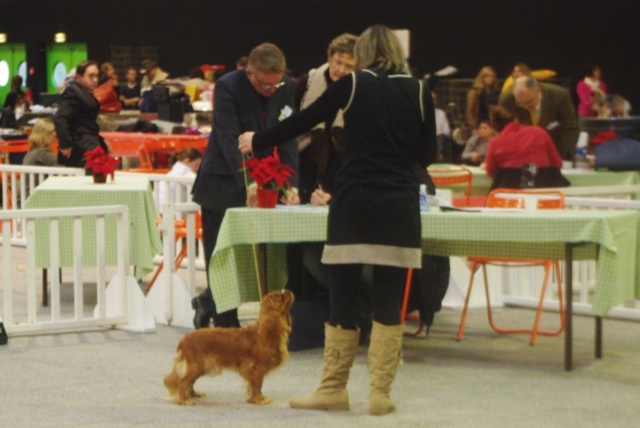 Fhélynie fire doll des petits Anges de Sophie - 2 ème Exc classe Inter