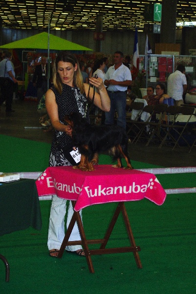 Engel flower De park ar marc'heger - Excellent classe jeune