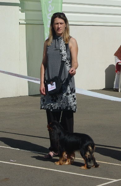 Engel flower De park ar marc'heger - 1er Exc Inter et CACS