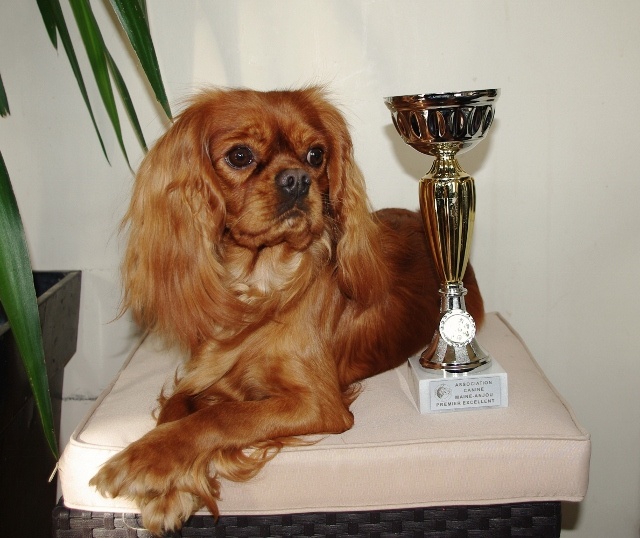 Fhélynie fire doll des petits Anges de Sophie - 1 Exc Inter