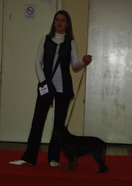 Engel flower De park ar marc'heger - 4 ème Exc classe ouverte