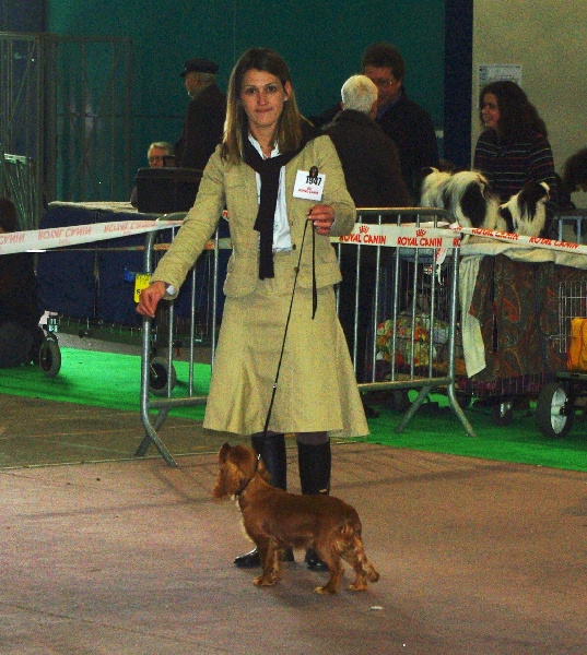 Eycha melissa des petits Anges de Sophie - 1er Très Prometteur classe puppy