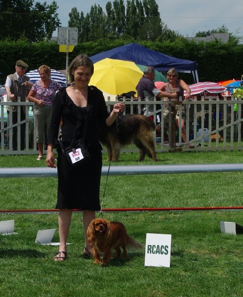 Eycha melissa des petits Anges de Sophie - 2 ème Exc classe Inter RCACS