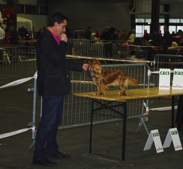 Eycha melissa des petits Anges de Sophie - EXC classe ouverte