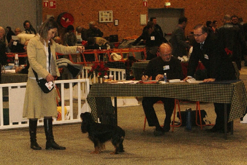 Engel flower De park ar marc'heger - 1ère Excellent inter