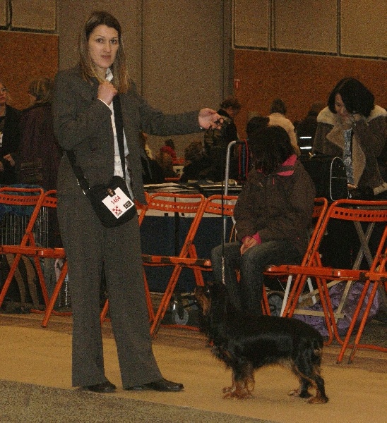 Engel flower De park ar marc'heger - 2ème Excellent