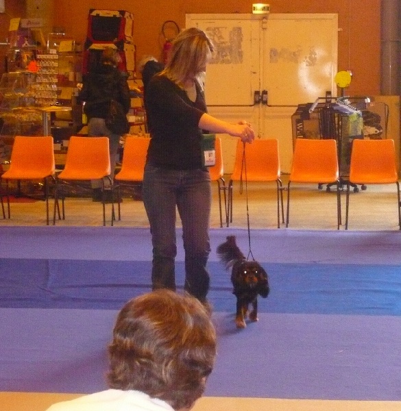 Danna des Elfes Noroit - classé 4 eme excellent