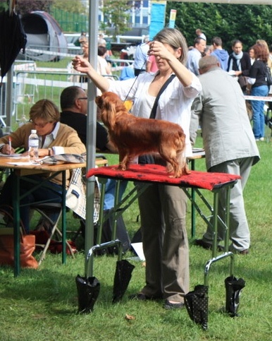 Fhélynie fire doll des petits Anges de Sophie - 2ème Exc classe jeune