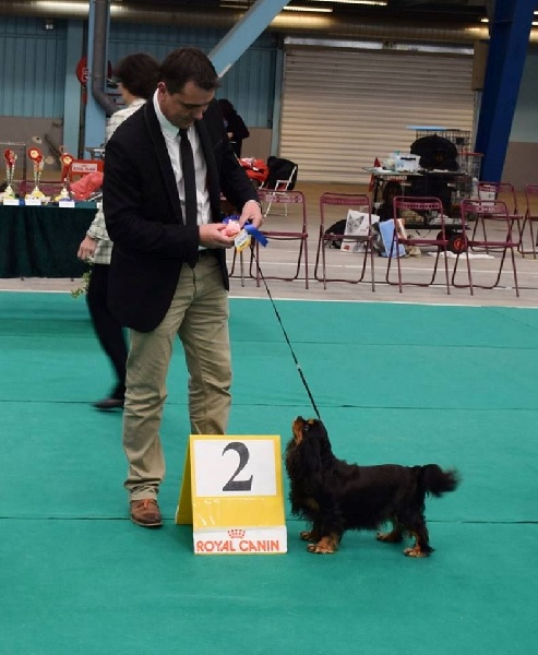 Danna des Elfes Noroit - 2 ème EXC vétéran NE CENA