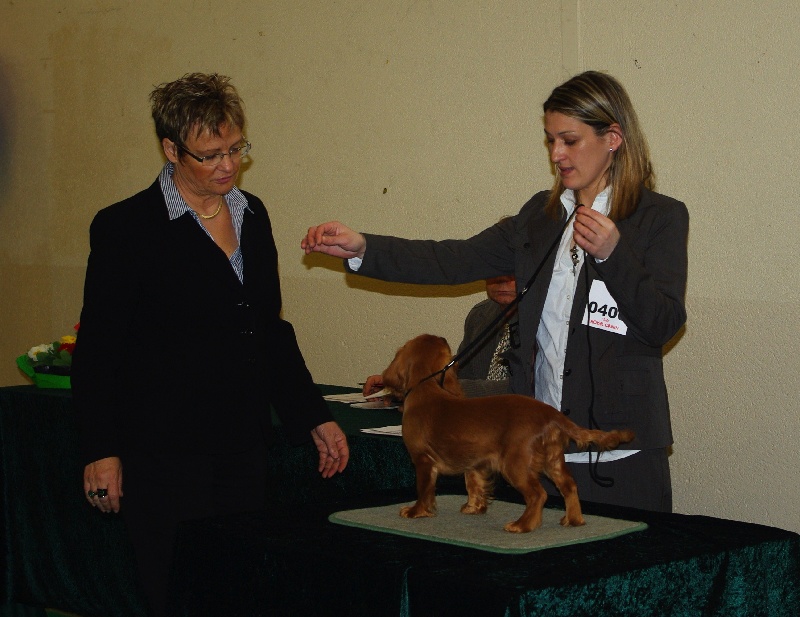 Eycha melissa des petits Anges de Sophie - 1ére Très Prometteur classe baby