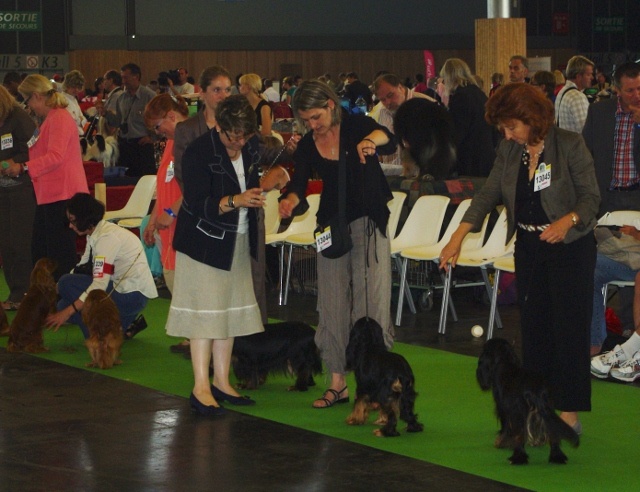 Engel flower De park ar marc'heger - Excellent classe ouverte