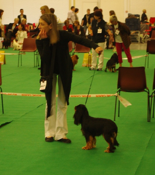 Engel flower De park ar marc'heger - Exc classé 5ème classe ouverte