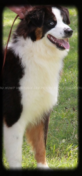 Publication : des Tresors du Mont Ventoux