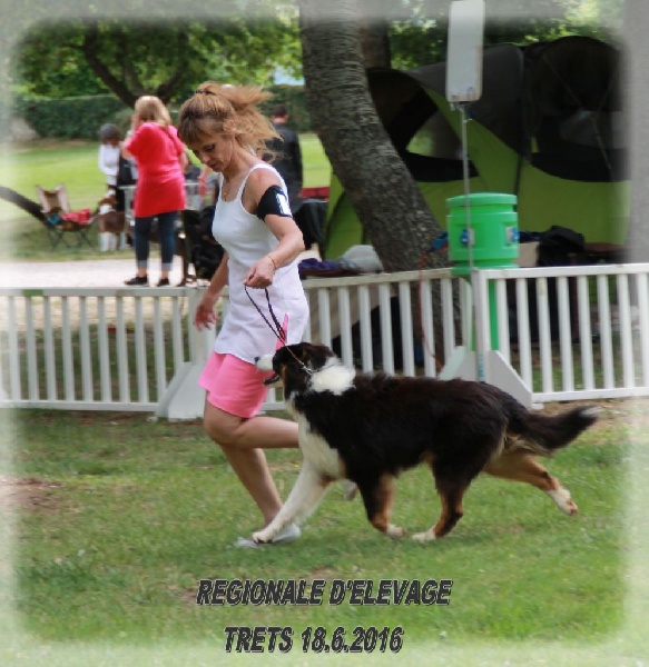 Publication : des Tresors du Mont Ventoux