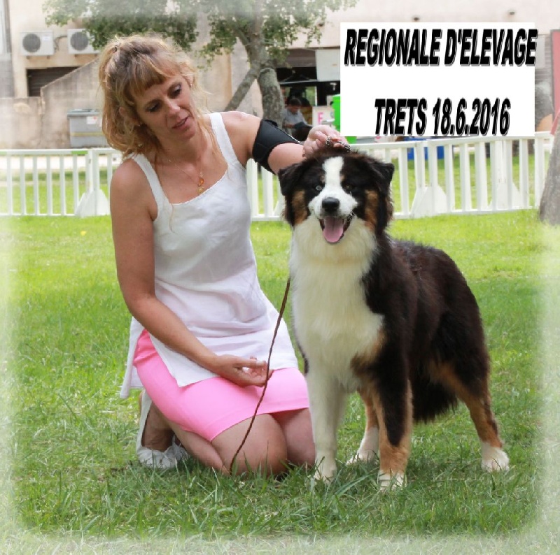 Publication : des Tresors du Mont Ventoux