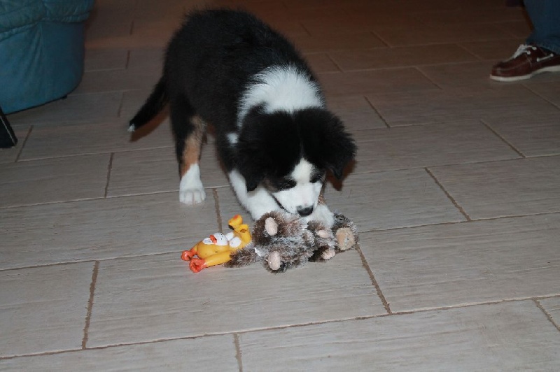 Publication : des Tresors du Mont Ventoux