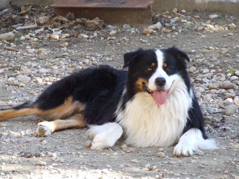 Publication : des Tresors du Mont Ventoux Auteur : VANESSA GROSSEMY