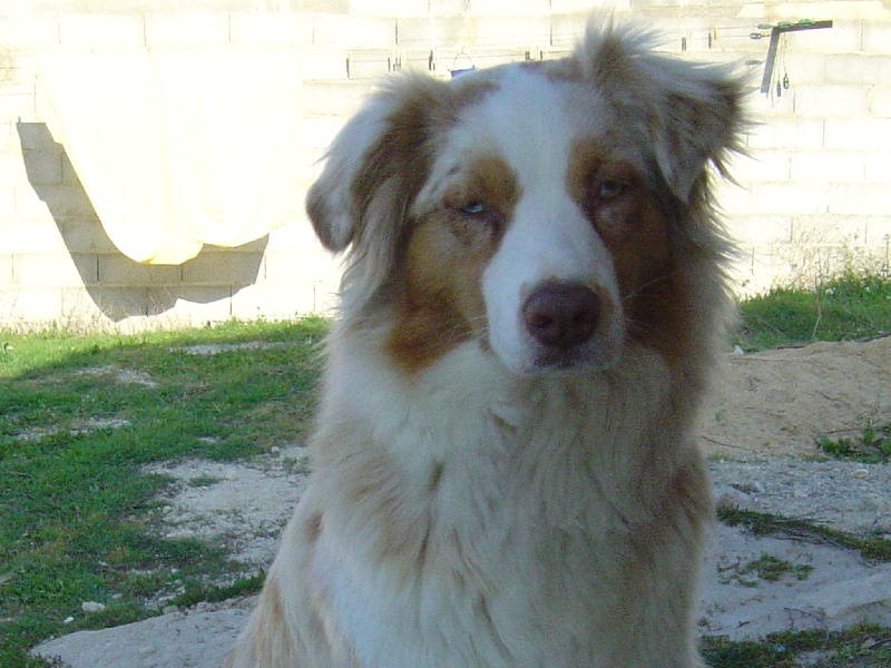 Publication : des Tresors du Mont Ventoux Auteur : VANESSA GROSSEMY