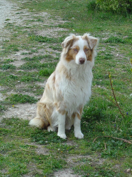 Publication : des Tresors du Mont Ventoux Auteur : VANESSA GROSSEMY