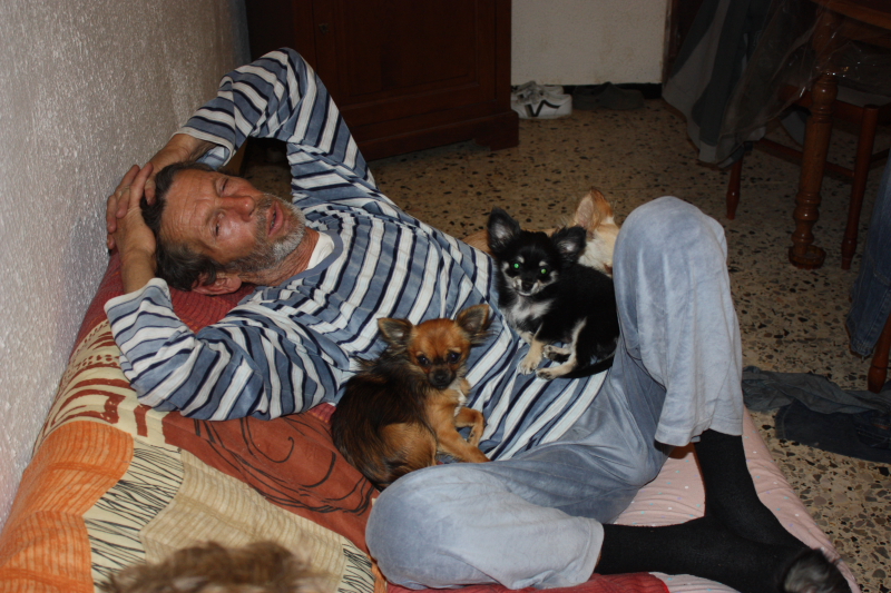 Publication : des Tresors du Mont Ventoux Auteur : VANESSA GROSSEMY