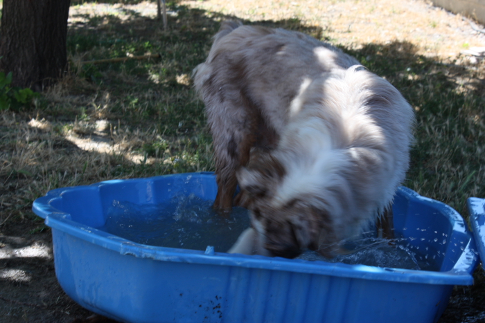 Publication : des Tresors du Mont Ventoux Auteur : VANESSA GROSSEMY