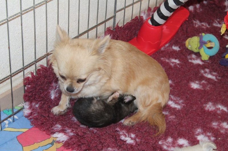 Leony precious pearl des Tresors du Mont Ventoux