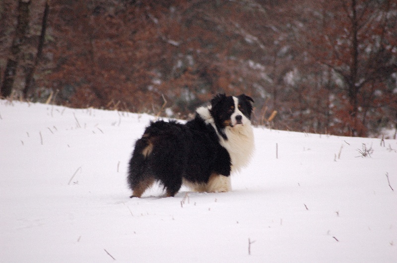 Publication : des Tresors du Mont Ventoux Auteur : VANESSA GROSSEMY