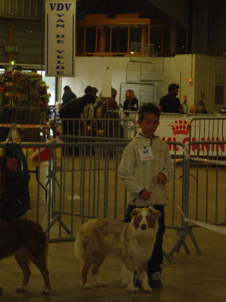 Publication : des Tresors du Mont Ventoux Auteur : VANESSA GROSSEMY