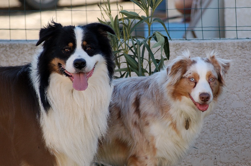 Publication : des Tresors du Mont Ventoux Auteur : VANESSA GROSSEMY