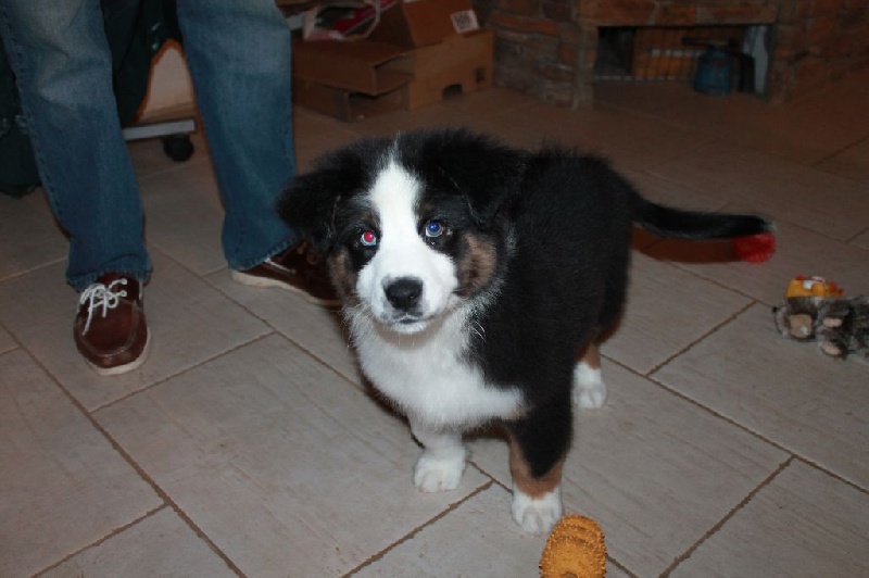 Publication : des Tresors du Mont Ventoux