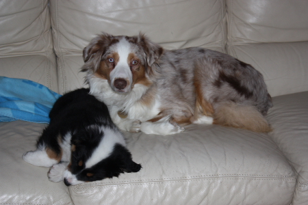 Publication : des Tresors du Mont Ventoux Auteur : VANESSA GROSSEMY