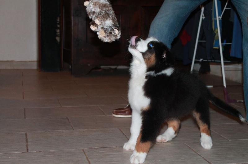 Publication : des Tresors du Mont Ventoux