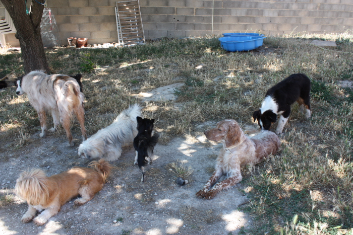 Publication : des Tresors du Mont Ventoux Auteur : VANESSA GROSSEMY