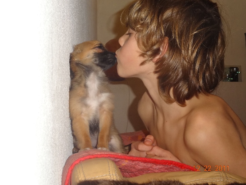 Publication : des Tresors du Mont Ventoux Auteur : VANESSA GROSSEMY